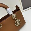 69309e496e68136f4d9ab349 Large and Small Lady D-Sire My Abcdior Handbag in Blush Beige Crocodile-Grain Calfskin Leather