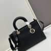 Large and Small Lady D-Sire My Abcdior Handbag in Blush Beige Cracked Calfskin