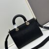Large and Small Lady D-Sire My Abcdior Handbag in Blush Beige Cracked Calfskin