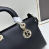 Large and Small Lady D-Sire My Abcdior Handbag in Blush Beige Cracked Calfskin
