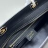 Large and Small Lady D-Sire My Abcdior Handbag in Blush Beige Cracked Calfskin