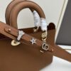 69309e5e6e68136f4d9ab36b Large and Small Lady D-Sire My ABCDior Handbag in Blush Beige Crocodile-Embossed Calfskin Leather