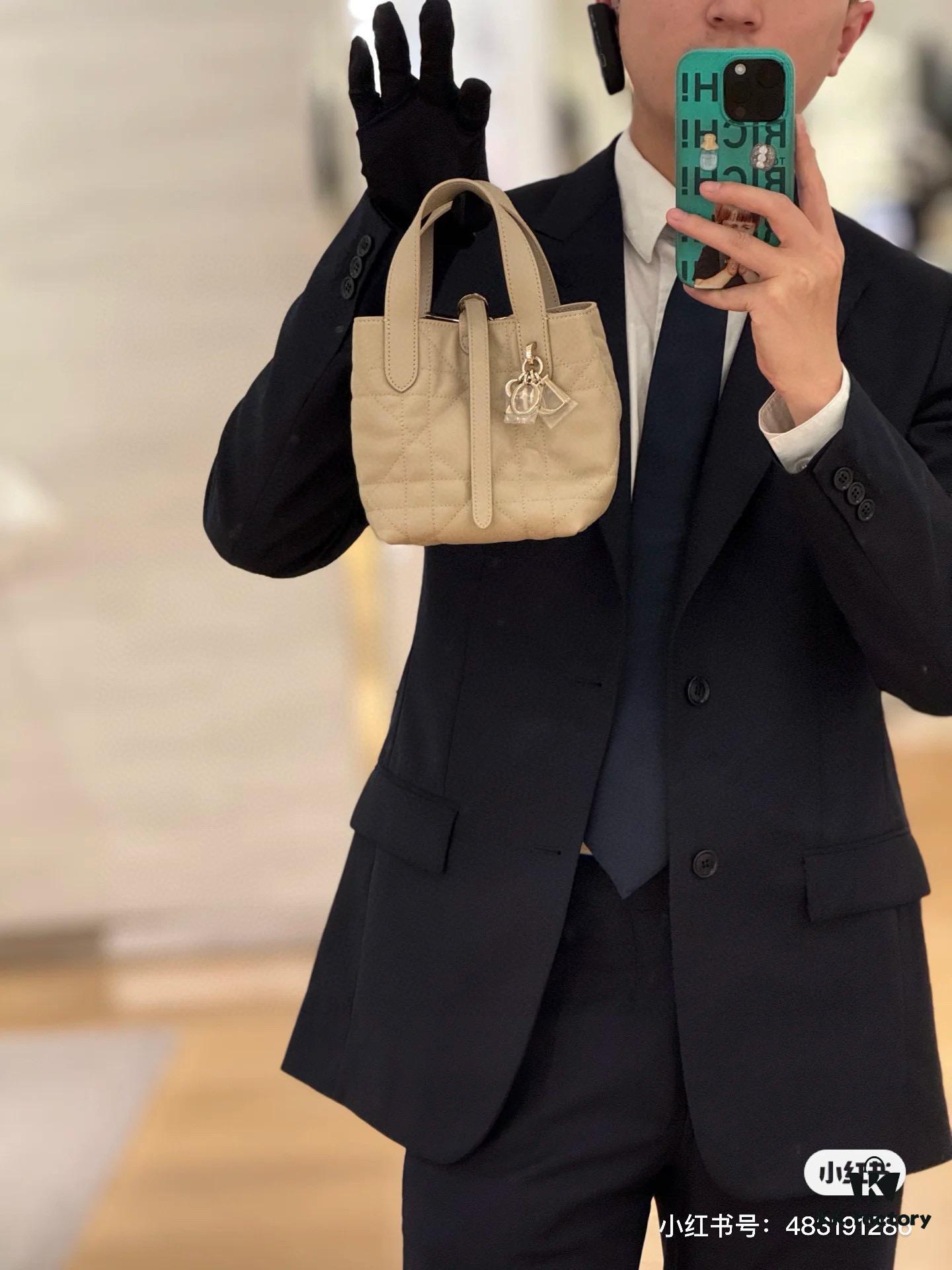 69309e7e6e68136f4d9ab3aa Dior Toujours Vertical Handbag in Blush Beige Calfskin Leather with Cannage Stitching