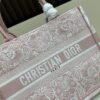 69309ef76e68136f4d9ab481 Original Order Large and Medium Size Di0r Book Tote