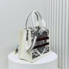 69309fa66e68136f4d9ab59b Dior Book Tote 24 Early Spring New Arrival Small Size with Leather Trim