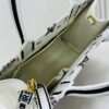Dior Book Tote24 Early Spring New Arrival Medium Size with Leather Trim