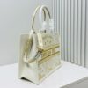 69309fc06e68136f4d9ab5c3 Dior Book Tote24 Early Spring New Arrival Medium Size with Leather Trim