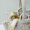 69309fc26e68136f4d9ab5c7 Dior Book Tote24 Early Spring New Arrival Medium Size with Leather Trim