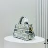 Ultra Mini Shoulder Strap DIOR Book Tote24 Spring Collection New Arrival