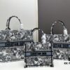 Authentic Dior Book Tote – Large 330, Medium, Small
