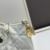 6930a0a26e68136f4d9ab795 DIOR 2025 New Vintage-Style Book Tote Bag, a Surprisingly Stylish Rare Piece