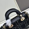 6930a0b16e68136f4d9ab7b7 Ilady Dio.r Coarse Herringbone Black Canvas with Leather Trim Handbag