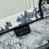 Oversized Original Order Thick Yarn Fabric Dior Book Tote