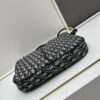 Large Full Leather Blue Cloth Dior Nolita Handbag from the 2024 Fall Ready-to-Wear Collection