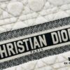 ️Thick Thread, Heavy Fabric Original Order Medium [Dior Book Tote]