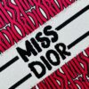 6930a2406e68136f4d9abad2 Oversized Original Order Thick Yarn Fabric Dior Book Tote