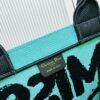 Thick Thread, Heavy Fabric First Quality - Medium Di0r Book Tote