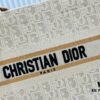 6930a3046e68136f4d9abc93 Dior Book Tote24 Early Spring New Arrival Small Size with Leather Trim