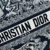 6930a31e6e68136f4d9abcca Black Blue Tiger, Small Size DIOR Book Tote24 Spring Collection