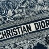 6930a32a6e68136f4d9abce5 Black Blue Tiger, Large Size DIOR Book Tote 24 Spring/Summer New Arrival