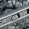 Dior Book Tote24 Early Spring New Arrival, Small Size