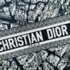 Dior Book Tote24 Early Spring New Arrival, Large Size