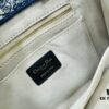 6930a3486e68136f4d9abd2b White with Blue Tiger, Small Size Dior Book Tote24 Spring Collection