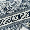 6930a3506e68136f4d9abd3b White with Blue Tiger, Large Size Dior Book Tote 24 Spring/Summer New Arrival