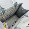 6930a3596e68136f4d9abd4f Dior Book Tote24 Early Spring New Arrival Medium Size with Leather Trim