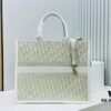 Dior Book Tote24 Early Spring New Arrival