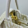 6930a3756e68136f4d9abd91 Dior Book Tote24 Early Spring New Arrival Small Size with Leather Trim