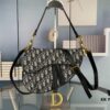 6930a3f56e68136f4d9abe7c Large Size (With Box) 【♥️ Dior Saddle Monogram Thin Strap】 【Comes with Retail Box 🎁】