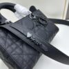6930a4716e68136f4d9abf8a Dior Lady D-Sire My ABCDior Small Crossbody Bag in Black Quilted Calfskin