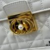 Dior Ange Handbag from the Fall 2024 Ready-to-Wear Collection