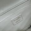 Dior Ange Handbag from the Fall 2024 Ready-to-Wear Collection