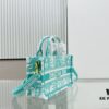 6930a4b66e68136f4d9ac00c Dior Book Tote 24 Spring/Summer New Arrival Mini Green Sun Head with Shoulder Strap