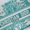 6930a4b96e68136f4d9ac011 Dior Book Tote 24 Spring/Summer New Arrival Mini Green Sun Head with Shoulder Strap
