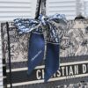 6930a5506e68136f4d9ac10e Large DIOR Dior Store New Shopping Bag with Scarf, Embroidered Edging, Limited Edition, Celebrity Style, High-End Quality