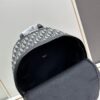 Dior 8 Backpack in Beige and Black Oblique Print