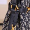 Medium Cest Dior Handbag in Blue Oblique Canvas