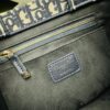 6930a8066e68136f4d9ac660 Vintage Blue, Small Size Dior Book Tote 24 Spring Collection