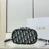 6930a8096e68136f4d9ac666 New Embroidered DiorTravel Makeup Pouch