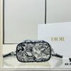 6930a80f6e68136f4d9ac677 New Embroidered DiorTravel Cosmetic Pouch
