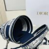 6930a8116e68136f4d9ac67a New Embroidered DiorTravel Cosmetic Pouch