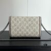 6930a95e6e68136f4d9ac8f1 GG Dionysus WOC Chain Mini Handbag / Wallet in Oatmeal with Horsebit Closure and Flip Design