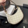 Celine Ava Underarm Bag with Box, Size: 24*20cm