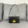 6930ac4d6e68136f4d9ace50 CELINE New Triomphe Arch of Triumph Underarm Bag, Spring-Summer Limited Edition