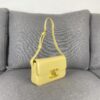 6930ac536e68136f4d9ace59 CELINE New Triomphe Arch of Triumph Underarm Bag Spring Summer Limited Edition