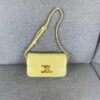 6930ac546e68136f4d9ace5a CELINE New Triomphe Arch of Triumph Underarm Bag Spring Summer Limited Edition