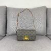 CELINE Triomphe Archway Bag - Limited Spring/Summer Edition